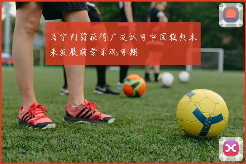 马宁判罚获得广泛认可中国裁判未来发展前景乐观可期