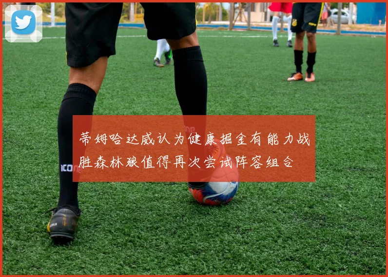 蒂姆哈达威认为健康掘金有能力战胜森林狼值得再次尝试阵容组合